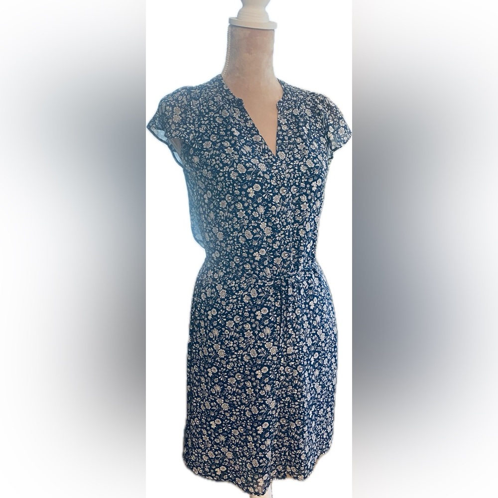 Floral Blue and White Dress